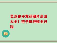 灵芝孢子发芽图片高清大全？孢子粉种植全过程