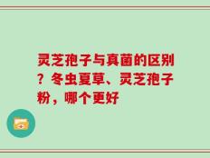 灵芝孢子与真菌的区别？冬虫夏草、灵芝孢子粉，哪个更好