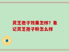 灵芝孢子效果怎样？象记灵芝孢子粉怎么样