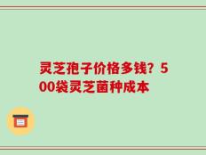 灵芝孢子价格多钱？500袋灵芝菌种成本