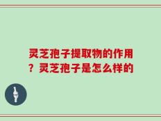 灵芝孢子提取物的作用？灵芝孢子是怎么样的