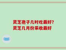 灵芝孢子几时吃最好？灵芝几月份采收最好
