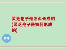 灵芝孢子是怎么长成的(灵芝孢子是如何形成的)
