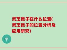 灵芝孢子在什么位置(灵芝孢子的位置分析及应用研究)