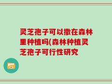 灵芝孢子可以撒在森林里种植吗(森林种植灵芝孢子可行性研究