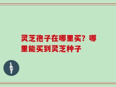 灵芝孢子在哪里买？哪里能买到灵芝种子