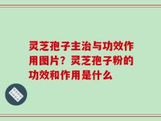 灵芝孢子主治与功效作用图片？灵芝孢子粉的功效和作用是什么