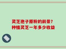 灵芝孢子原粉的前景？种植灵芝一年多少收益