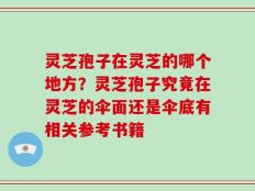 灵芝孢子在灵芝的哪个地方？灵芝孢子究竟在灵芝的伞面还是伞底有相关参考书籍