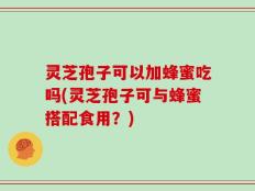 灵芝孢子可以加蜂蜜吃吗(灵芝孢子可与蜂蜜搭配食用？)