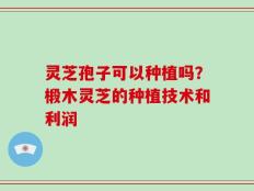 灵芝孢子可以种植吗？椴木灵芝的种植技术和利润