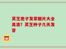 灵芝孢子发芽图片大全高清？灵芝种子几天发芽