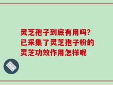 灵芝孢子到底有用吗？已采集了灵芝孢子粉的灵芝功效作用怎样呢