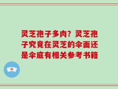 灵芝孢子多肉？灵芝孢子究竟在灵芝的伞面还是伞底有相关参考书籍