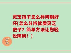 灵芝孢子怎么样辨别好坏(怎么分辨优质灵芝孢子？简单方法让您轻松辨别！)