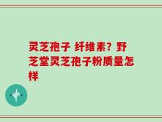 灵芝孢子 纤维素？野芝堂灵芝孢子粉质量怎样