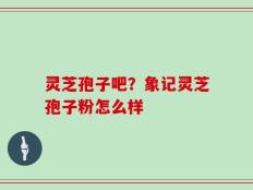 灵芝孢子吧？象记灵芝孢子粉怎么样