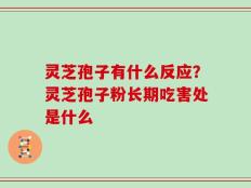 灵芝孢子有什么反应？灵芝孢子粉长期吃害处是什么