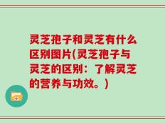 灵芝孢子和灵芝有什么区别图片(灵芝孢子与灵芝的区别：了解灵芝的营养与功效。)