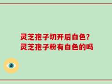 灵芝孢子切开后白色？灵芝孢子粉有白色的吗