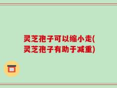 灵芝孢子可以缩小走(灵芝孢子有助于减重)