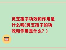 灵芝孢子功效和作用是什么呢(灵芝孢子的功效和作用是什么？)