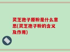 灵芝孢子原粉是什么意思(灵芝孢子粉的含义及作用)