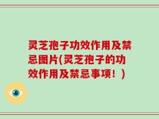 灵芝孢子功效作用及禁忌图片(灵芝孢子的功效作用及禁忌事项！)