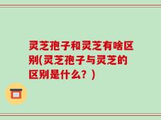 灵芝孢子和灵芝有啥区别(灵芝孢子与灵芝的区别是什么？)