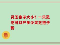 灵芝孢子大小？一只灵芝可以产多少灵芝孢子粉