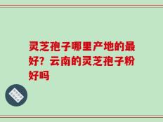 灵芝孢子哪里产地的最好？云南的灵芝孢子粉好吗
