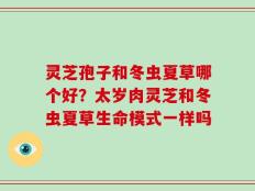 灵芝孢子和冬虫夏草哪个好？太岁肉灵芝和冬虫夏草生命模式一样吗