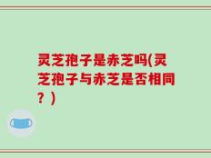 灵芝孢子是赤芝吗(灵芝孢子与赤芝是否相同？)