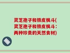 灵芝孢子和铁皮枫斗(灵芝孢子和铁皮枫斗：两种珍贵的天然食材)