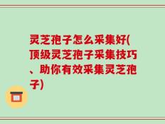 灵芝孢子怎么采集好(顶级灵芝孢子采集技巧、助你有效采集灵芝孢子)
