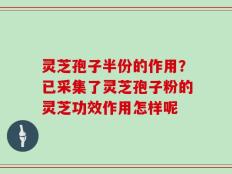 灵芝孢子半份的作用？已采集了灵芝孢子粉的灵芝功效作用怎样呢