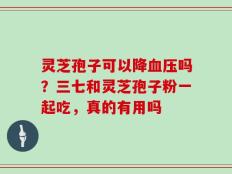 灵芝孢子可以降血压吗？三七和灵芝孢子粉一起吃，真的有用吗