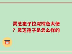 灵芝孢子拉深棕色大便？灵芝孢子是怎么样的