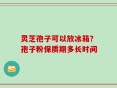 灵芝孢子可以放冰箱？孢子粉保质期多长时间