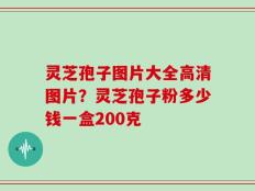 灵芝孢子图片大全高清图片？灵芝孢子粉多少钱一盒200克