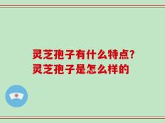 灵芝孢子有什么特点？灵芝孢子是怎么样的