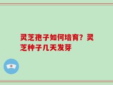 灵芝孢子如何培育？灵芝种子几天发芽