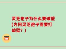 灵芝孢子为什么要破壁(为何灵芝孢子需要打破壁？)