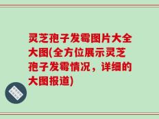 灵芝孢子发霉图片大全大图(全方位展示灵芝孢子发霉情况，详细的大图报道)
