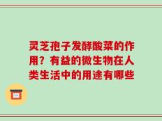 灵芝孢子发酵酸菜的作用？有益的微生物在人类生活中的用途有哪些
