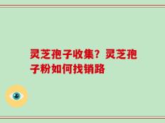 灵芝孢子收集？灵芝孢子粉如何找销路