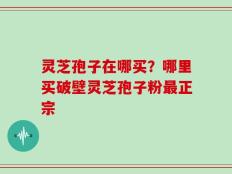 灵芝孢子在哪买？哪里买破壁灵芝孢子粉最正宗