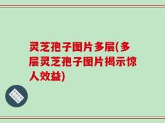 灵芝孢子图片多层(多层灵芝孢子图片揭示惊人效益)