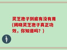 灵芝孢子到底有没有用(揭晓灵芝孢子真正功效，你知道吗？)