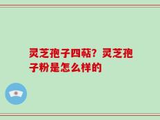 灵芝孢子四萜？灵芝孢子粉是怎么样的